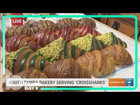 State Flour Bakery in South Tampa 'making waves' during Shark Week