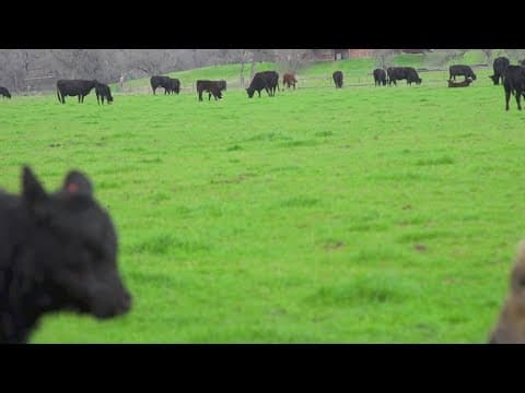 Johnson County officials still working to understand extent of environmental crisis