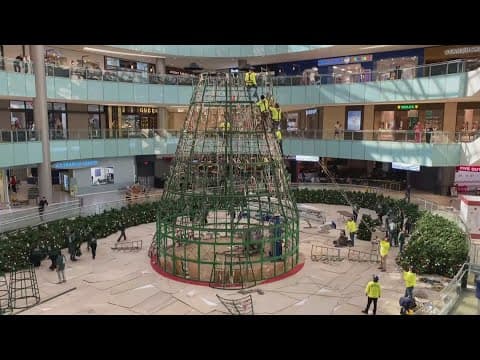 Galleria Dallas putting up its iconic Christmas tree