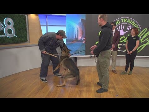 Specialty Dog Training showing tips and tricks to get your pooch to obey