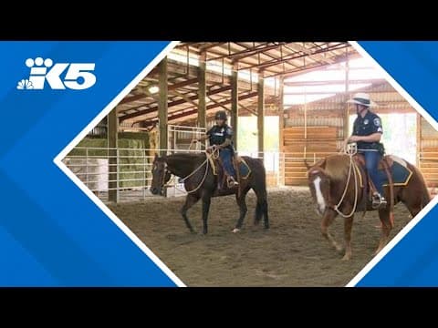 Seattle police to disband Mounted Patrol Unit amid staffing shortage