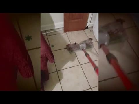 Mother says her Westbank apartment flooded after heavy rain, but it's not the first time