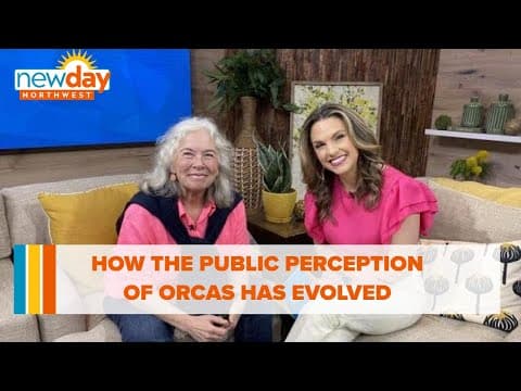 How the public perception of orcas has evolved - New Day NW