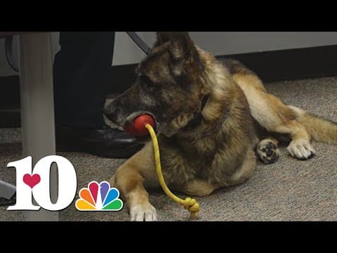 Two K-9s with Jefferson County Sherriff's Office retire