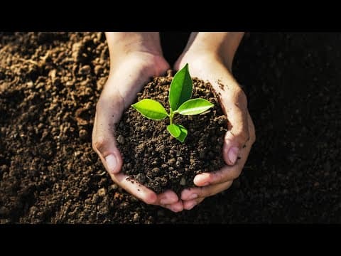 Eco-friendly products in honor of Earth Day