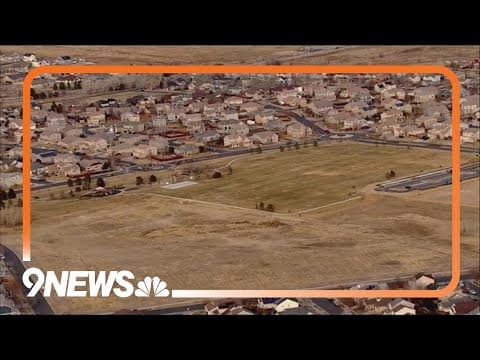 High number of sick, dead cats identified in Brighton neighborhood