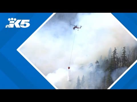 Lands chief slams wildfire cuts as Lake Cushman fire grows past 5,000 acres