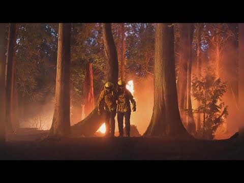 A tease of what to expect on new hit show 'Fire Country' airing on CBS 8