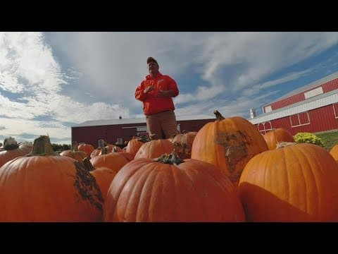 Seasonal help brings part-time work to Hebron pumpkin patch