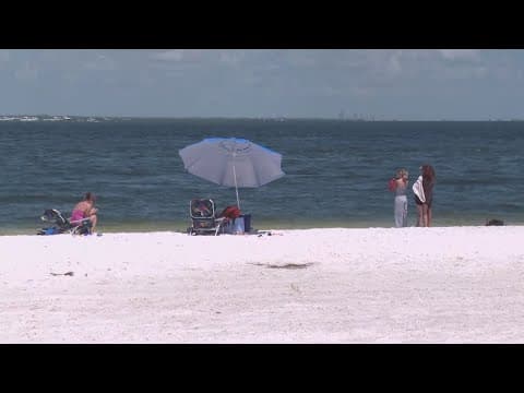 Body of missing swimmer believed to be found off Anna Maria Island, deputies say