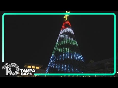 Tampa Riverwalk kicks off holiday season with annual tree lighting ceremony