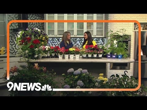 Haven't gotten flowers for Mom? This Denver shop has you covered