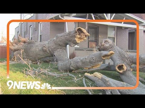 Homeowners continue cleaning up after strong weekend winds
