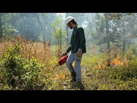 Prescribed burns scheduled at Houston Arboretum & Nature Center Wednesday