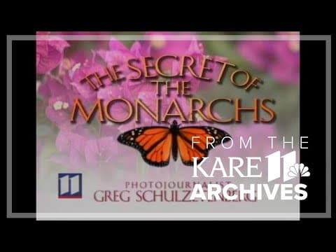 The Secret of the Monarchs (1999) | From the Archives