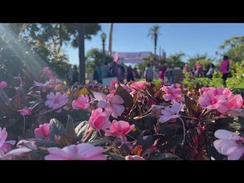 Thousands participate in the 'More Than Pink' Walk for Susan G. Komen