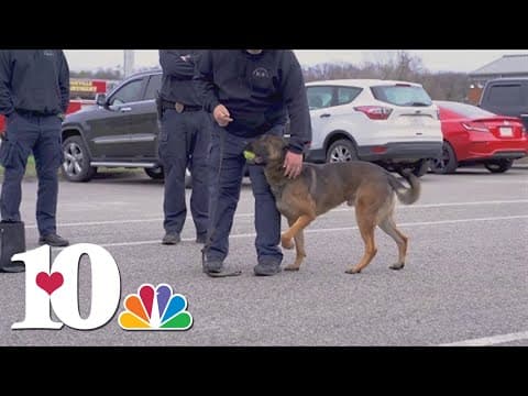 'They're very similar' | 3 K-9 units at Knoxville Police Department are clones