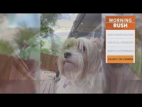 An Austin woman claims an Amazon delivery driver stole her dog