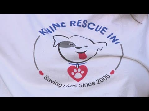 Animal shelter helping domestic abuse victims in Montgomery Co.