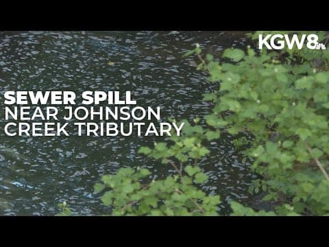 Sewer main overflow spills 1,600 gallons near Johnson Creek tributary