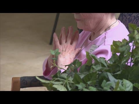 Older adult population growing as birth rates decline