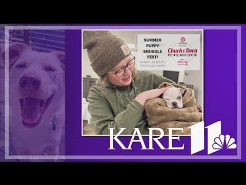 Secondhand Hounds to host ‘Furriest 5K,’ ‘Puppy Snuggle Fest’