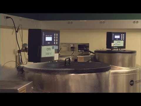 First biobanking center at San Diego Zoo could pave the way for animal cloning