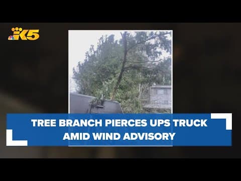Tree branch pierces UPS truck in Redmond amid Wind Advisory