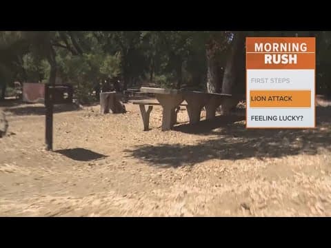 Wildlife crews killed a mountain lion after it attacked a 5-year-old