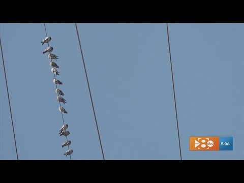 ERCOT says Texas's grid is in good shape amid extreme cold