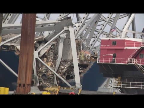Legal action in Baltimore Bridge collapse