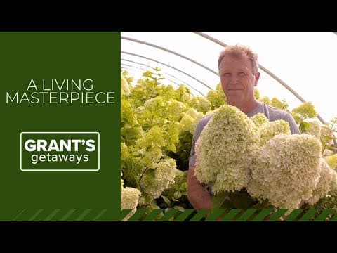 Oregon's Hydrangea Ranch is a living masterpiece | Grant's Getaways