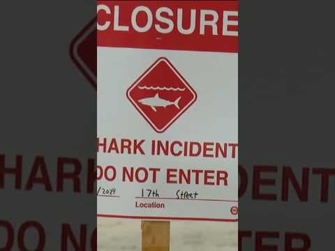 Del Mar beaches closed to swimmers, surfers after shark attack, researchers try to identify shark