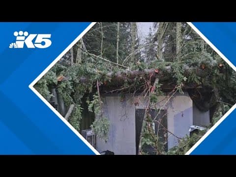 Beloved Snohomish County food bank asking for help after sustaining damage in wind storm