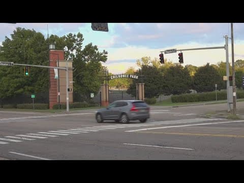 Councilwoman McKenzie seeks to delay council vote on park land sale to youth foundation