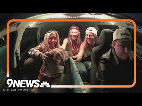 'Uber dog' going viral on social media