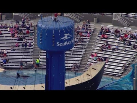 Members question auto renewal of SeaWorld annual passes