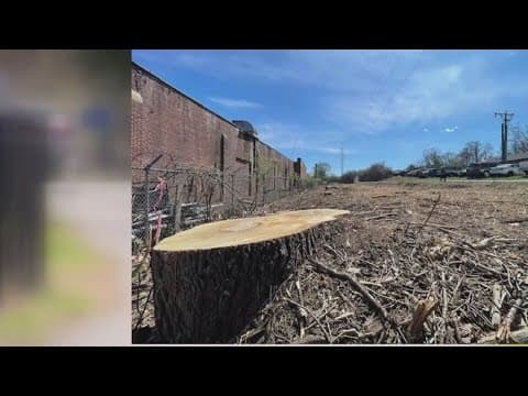 Dominion Energy pauses tree cutting along sections of W&OD Trail amid community concerns