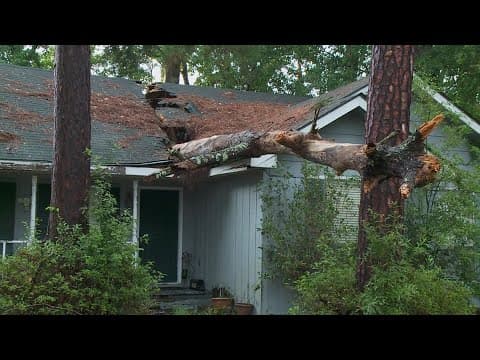 Tree slams through home in Mandeville during northshore storms