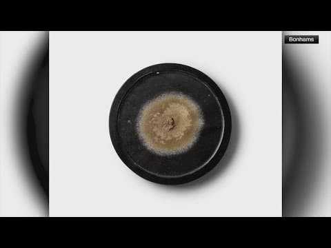 Mold from Penicillin discovery to be sold at auction