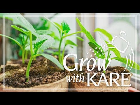 Grow with KARE: Starting seeds!