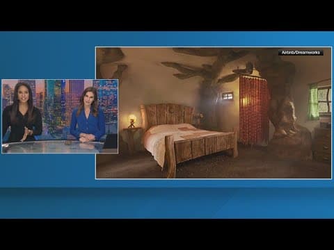 Spend the night in Shrek’s Swamp on Airbnb