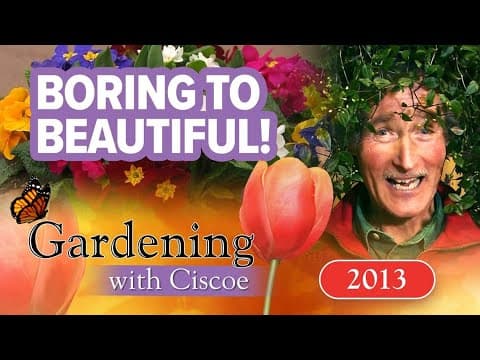 BORING TO BEAUTIFUL! Curb Appeal Through Landscaping! | Gardening With Ciscoe | Full Episode
