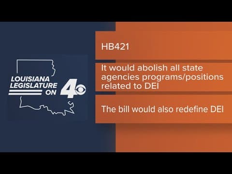 DEI bill headed to House Committee hearing, could abolish all state agencies related to DEI