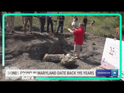 115-million-year-old dinosaur bones found in Maryland