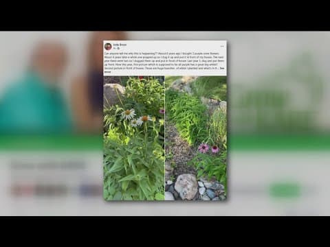 Bobby and Bel answer Grow with KARE questions