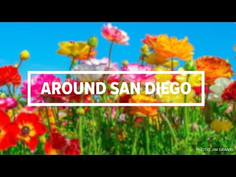 Around San Diego | The biggest stories of the past week (April 3)