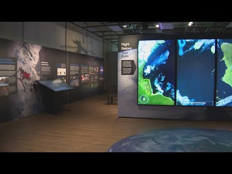 Exploring the new exhibit at the Smithsonian Natural History museum