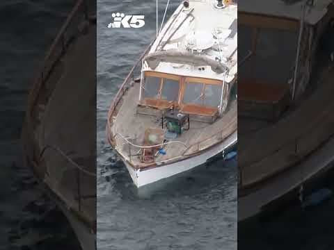 Boat taking on water near Golden Gardens #news #seattle #shorts