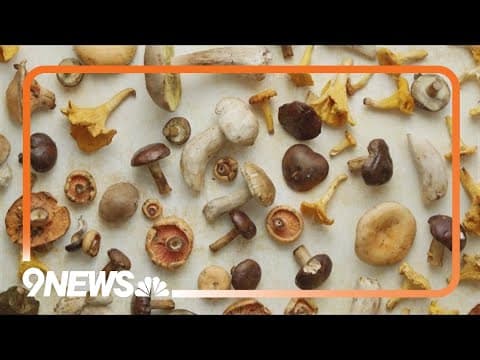 Plan underway to strictly regulate psychedelics in Colorado Springs